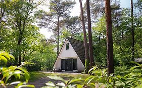 Vakantiehuis Magnolia Nunspeet Veluwe
