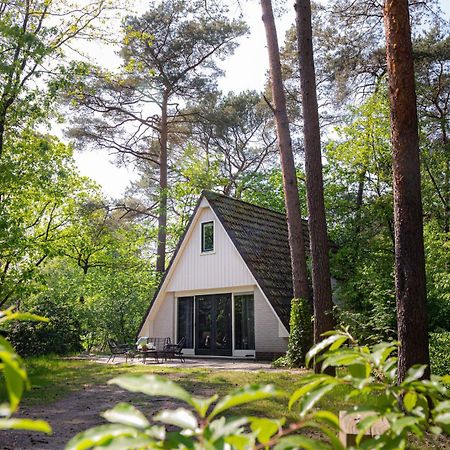 Vakantiehuis Magnolia Nunspeet Veluwe Exterior foto